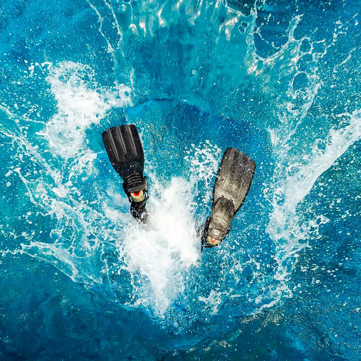 Speed Boat Dive
